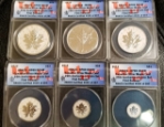 Canadian Maple Leaf 6-Coin Set - 