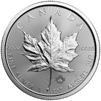 Canadian Silver Maple 