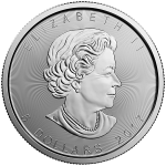 Canadian Silver Maple - CSM1OZ2019